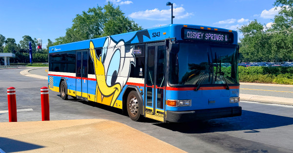 Disney Springs Bus Rules Are Changing From 28th June 2026