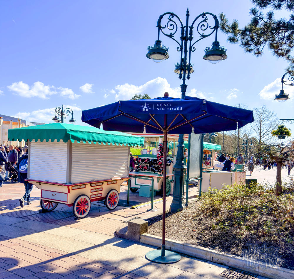 The Disneyland Paris VIP Tour Meeting Umbrella