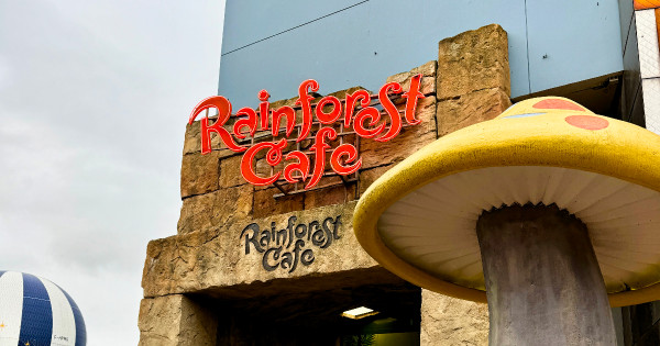 Rainforest Cafe At Disneyland Paris To Close In 2026