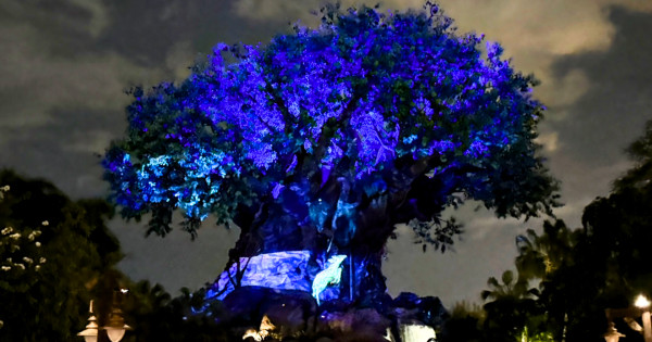 Tree Of Life Awakenings Returns To Animal Kingdom In 2026