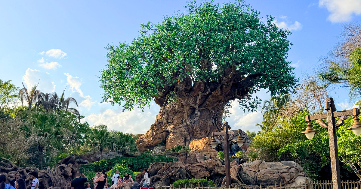 Tree of Life at Disney Animal Kingdom, Walt Disney World