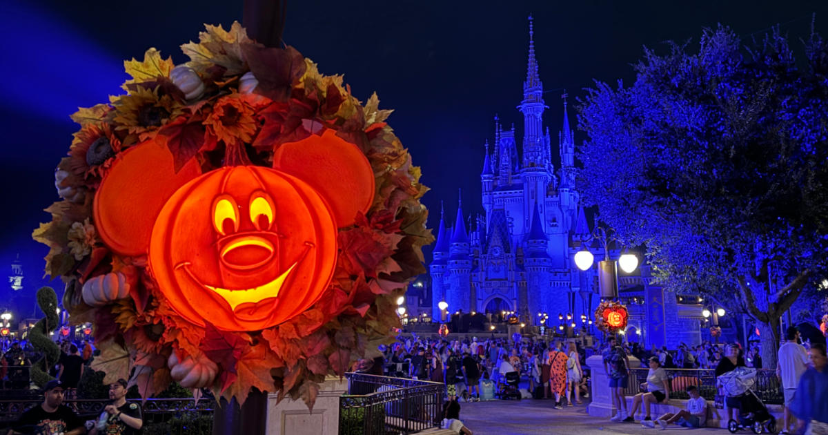 UK Guide To Booking Mickey's Not-So-Scary Halloween Party