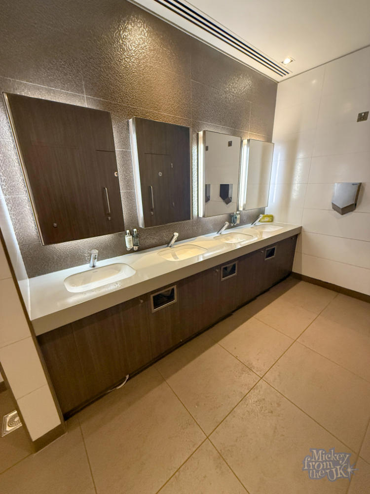British Airways London Gatwick Club World business lounge toilets
