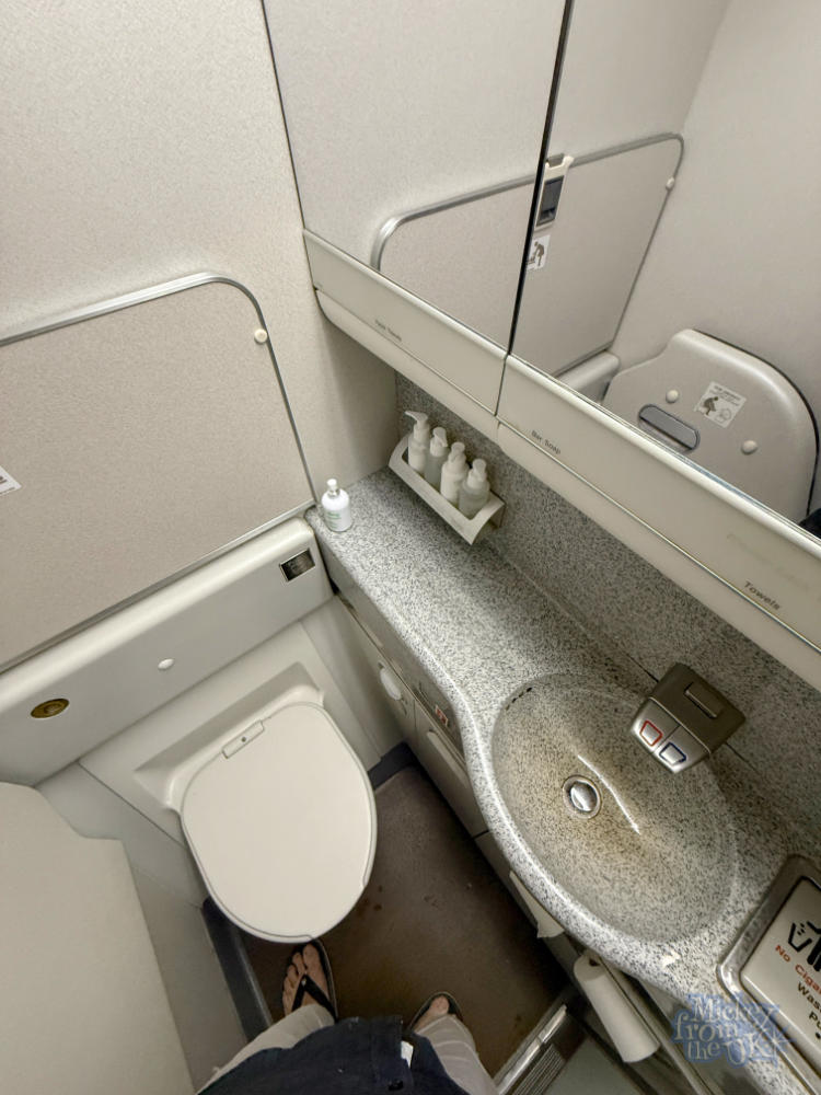 British Airways Club World business class cabin toilet facilities on the 777-200