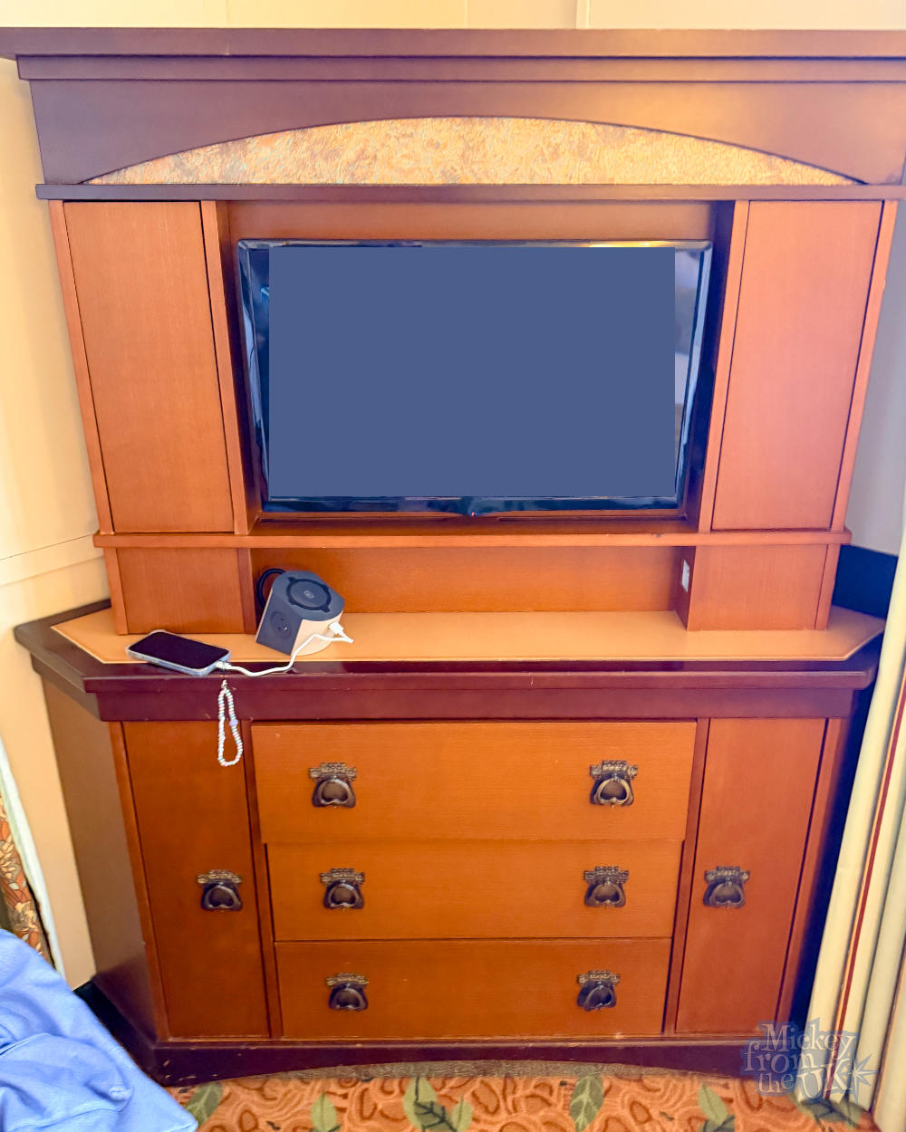 Disney Sequoia Lodge TV