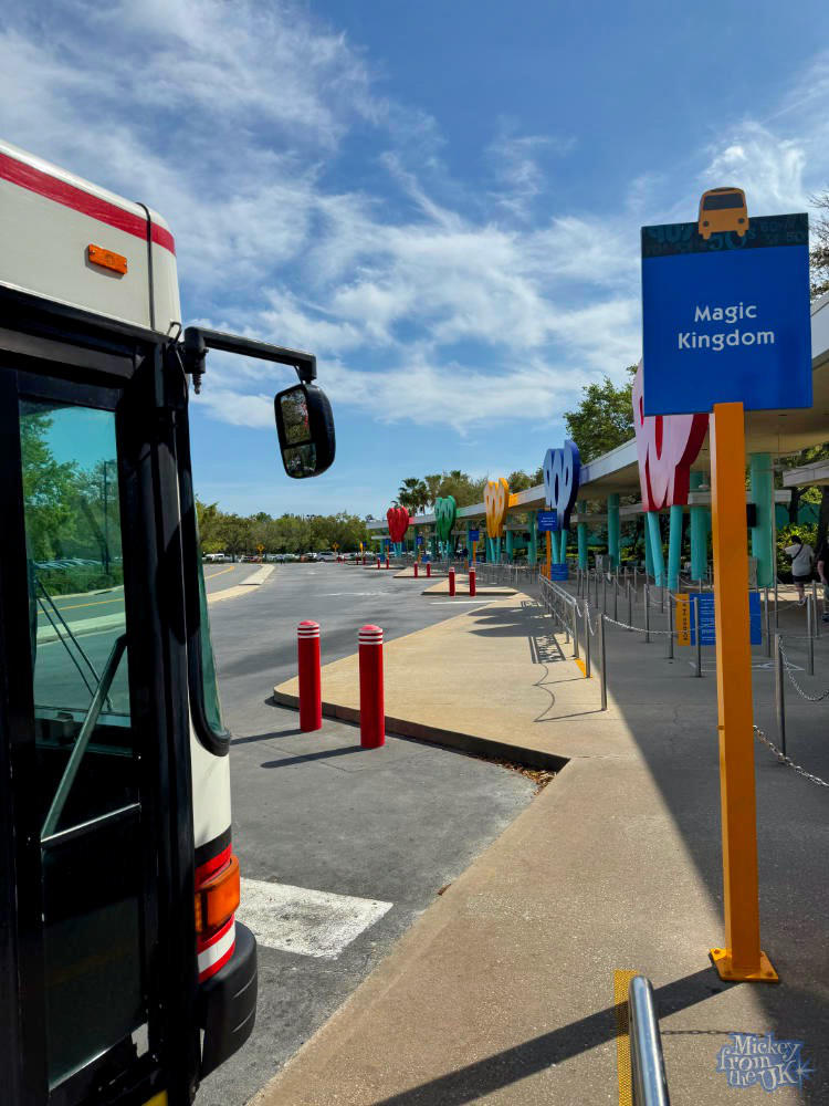 Disney Bus